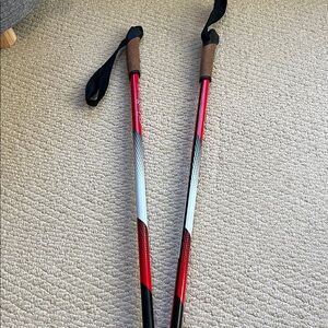 Alpina Nordic Skate Ski Poles